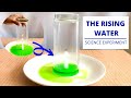 The rising water  science experiment  why does water rise up  explained 
