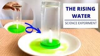 The Rising Water  Science Experiment | Why Does Water Rise Up  Explained |