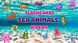 26 Sea Animals from A to Z – Flashcards and Videos with Fun Facts in English for Kids and Toddlers