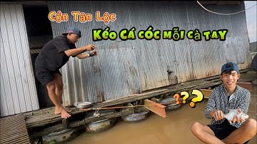 Hùng Fishing | Qua Cồn Tân Lộc Câu Cá Cóc Kéo Cá Mỗi Tay 