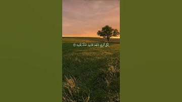 يوم يفر المرء من أخيه وأمه وأبيه🤍ماهر المعيقلي سورة عبس