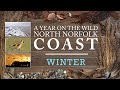A year on the wild North Norfolk coast - Part 1 - Winter
