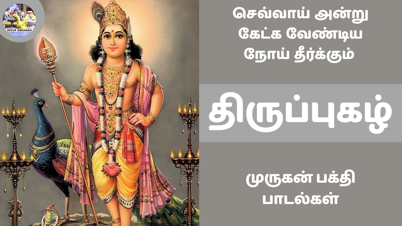 நோய் தீர்க்கும் திருப்புகழ் | செவ்வாய் அன்று கேட்க வேண்டிய முருகன் பக்திப் பாடல்கள | #Thirupugal