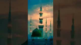 i love Muhammad saw #ytshorts #duet #allahnaat #love #islamicstoriesinurduandhindi #beautiful