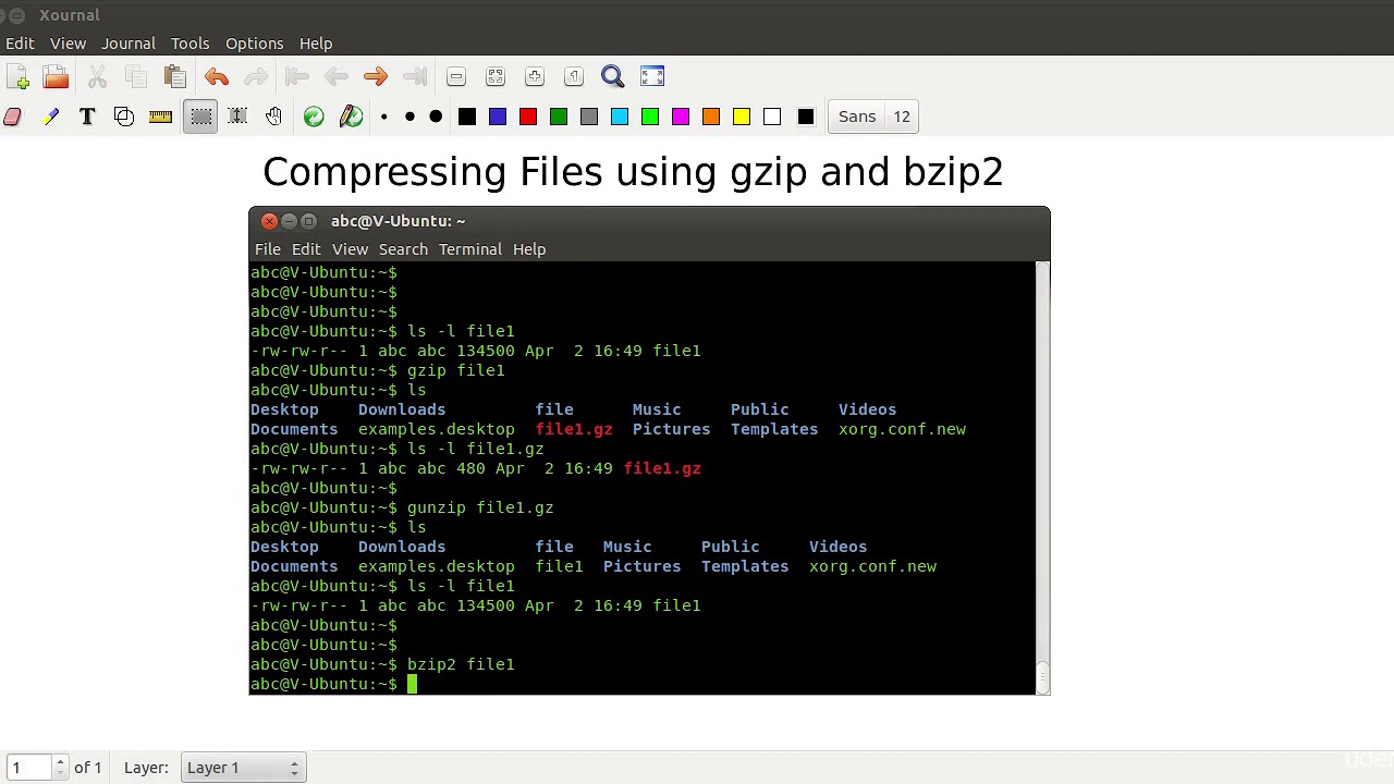 12 Compressing Files using gzip bzip2 and tar EH Academy - YouTube