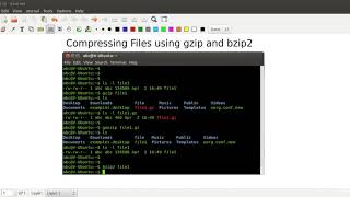 12 Compressing Files using gzip bzip2 and tar   EH Academy
