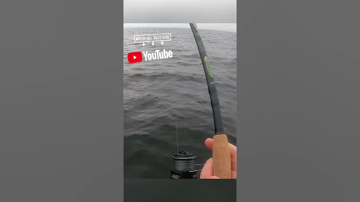 Great day Chesapeake Bay fishing! Full video in de...
