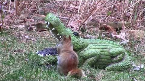 Audio Visual Catnip May 2015