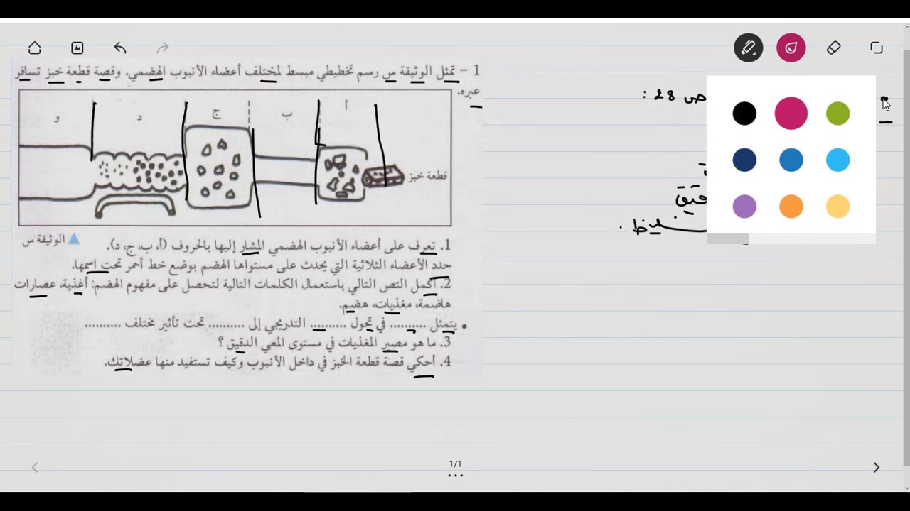 حل التمرين الاول صفحة 28 من الكتاب المدرسي علوم الطبيعة و الحياة