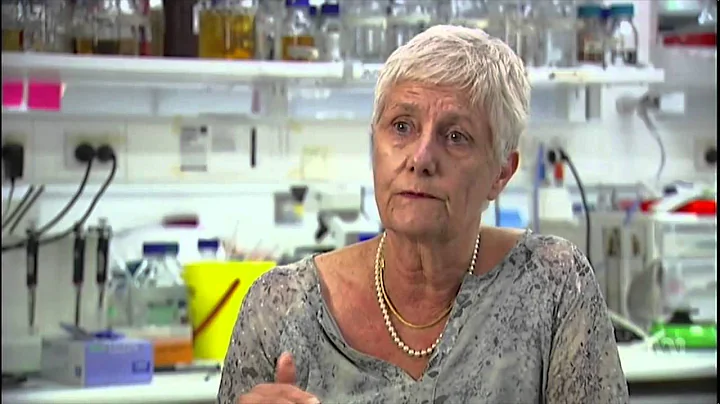 QUT  Queens Birthday honours ABC News