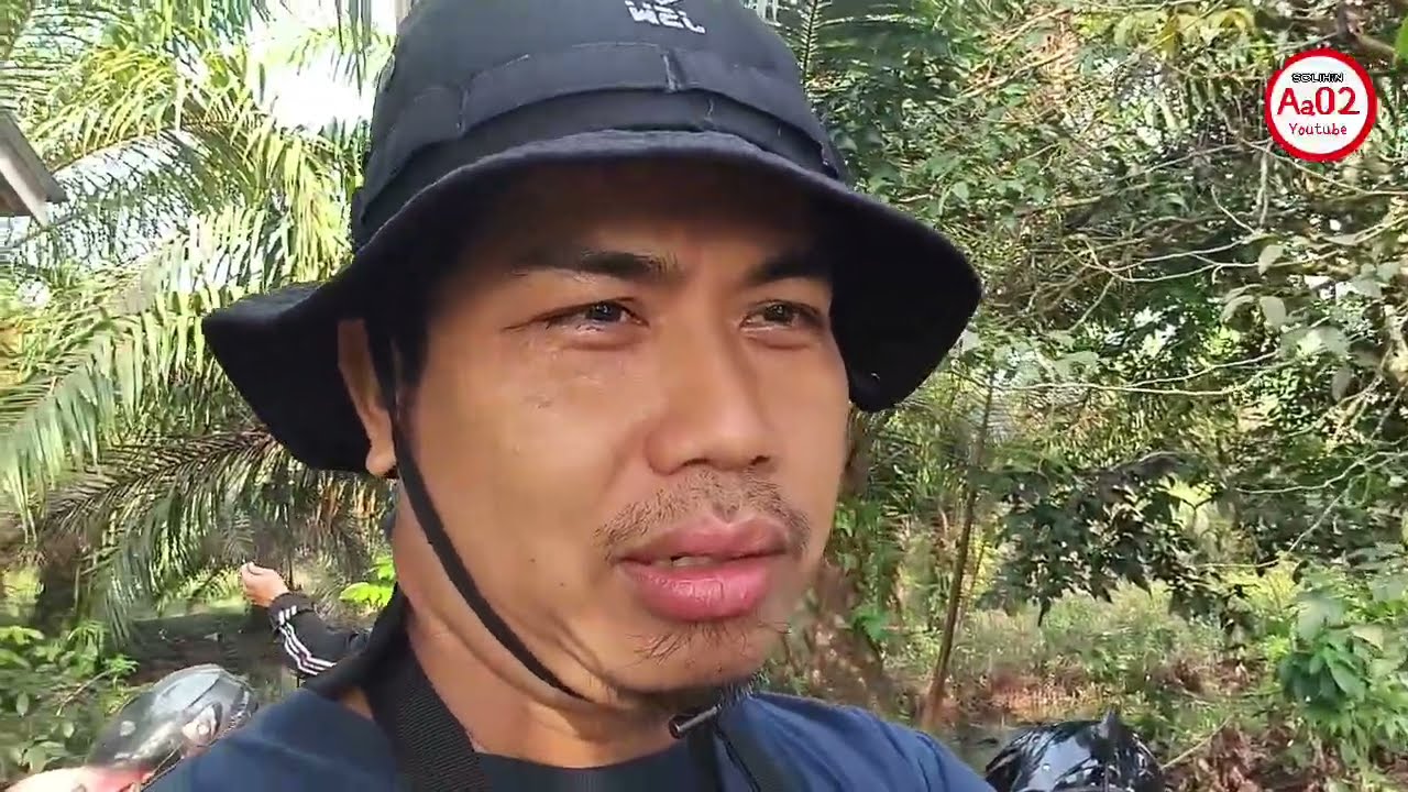 Setelah banjir panen ikan nila hutan kalimantan