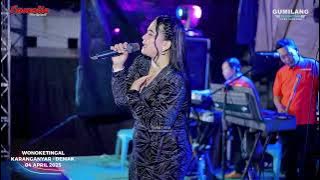 CAMELIA MUSIC - DERITA TIADA AKHIR - SELLY PRAWOTO - HALAL BIHALAL PEMUDA KECEBONX 69 WONOKETINGAL