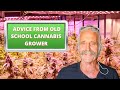 Tips and tricks advice from an old school cannabis grower  led indoor growing  episode 2