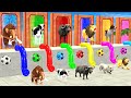 Dont fall into the wrong pipe with elephant cow lion gorilla buffalo fountain crossing animal game