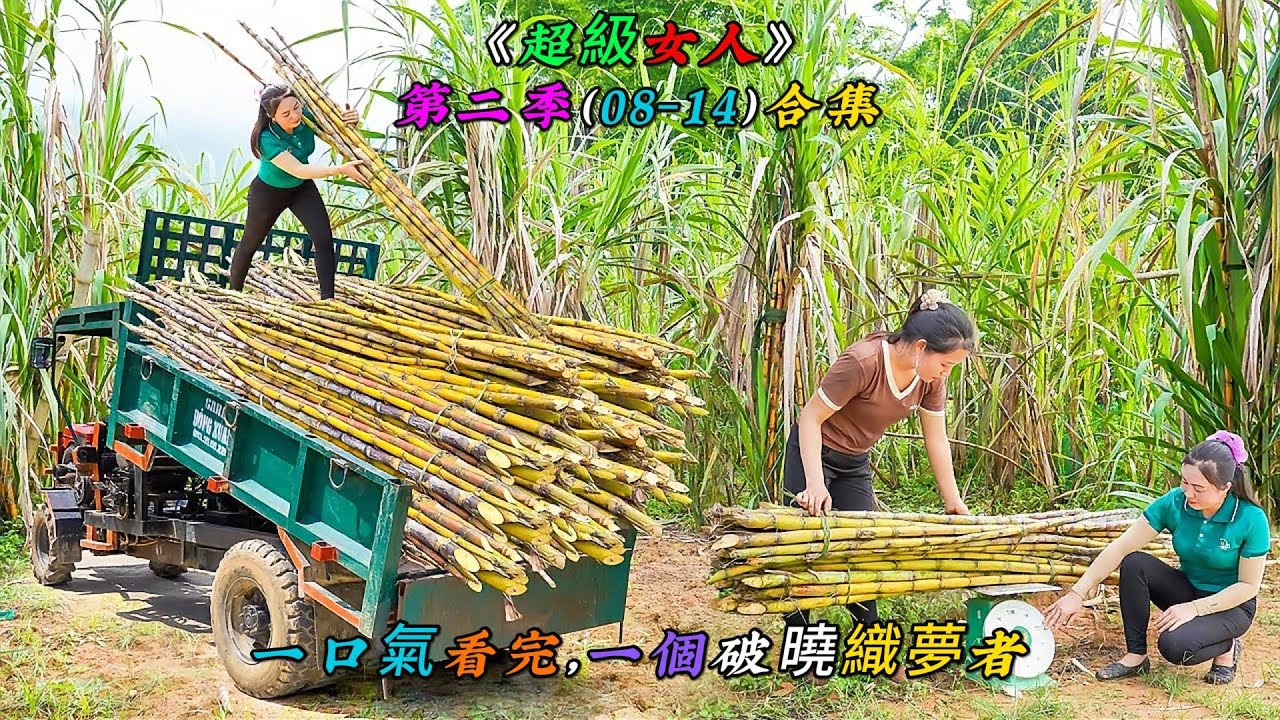 一口氣看完，一個破曉織夢者的毅力何其強大《超級女人》第二季（08-14）合集