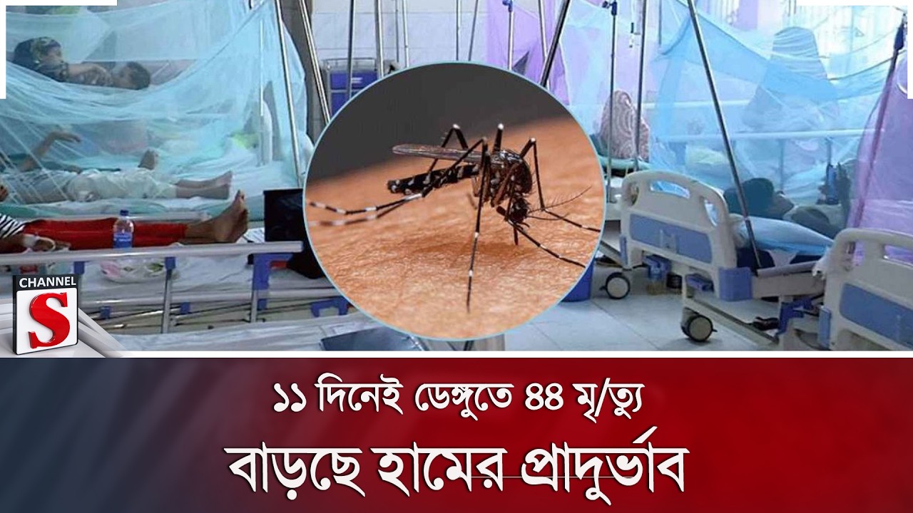 ১১ দিনেই ডেঙ্গুতে ৪৪ মৃ/ত্যু, বাড়ছে হামের প্রাদুর্ভাব | Dengue | Measles