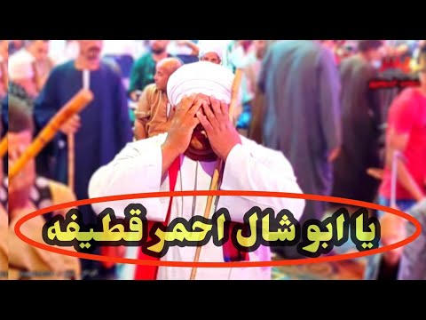 موال ياخساره مافى حد يتعاشر وأغنية يا ابو شال احمر قطيفه مع الريس شحات البنجاوي من افراح دراوشه طما