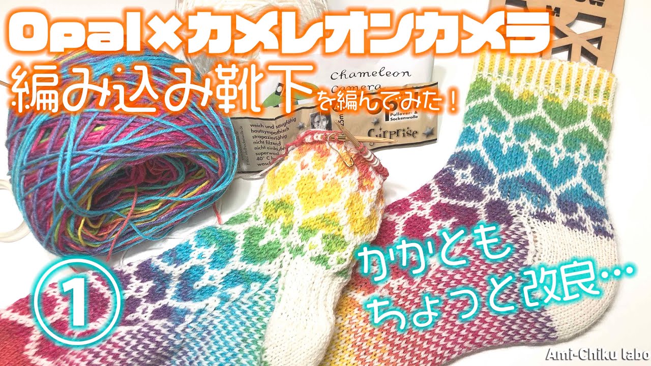 Opal x chameleon camera ★ I tried to knit braided socks.