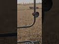 छम्मा छम्मा हो छम्मा 🌾🥰#combine #farming #youtube #hindi #viral #video #short #song #tranding