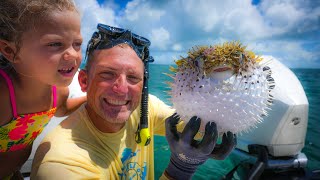 Best Tasting fish in the Ocean! {Catch Clean Cook} Potato Crusted fish with Creamy Mango Drizzle