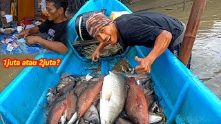 Download Lagu Rejeki Nomplok!! Pasang Perangkap Dapat Banyak Ikan Kakap Besar Hasilnya Langsung Jual MP3 Download Lagu Rejeki Nomplok!! Pasang Perangkap Dapat Banyak Ikan Kakap Besar Hasilnya Langsung Jual MP3