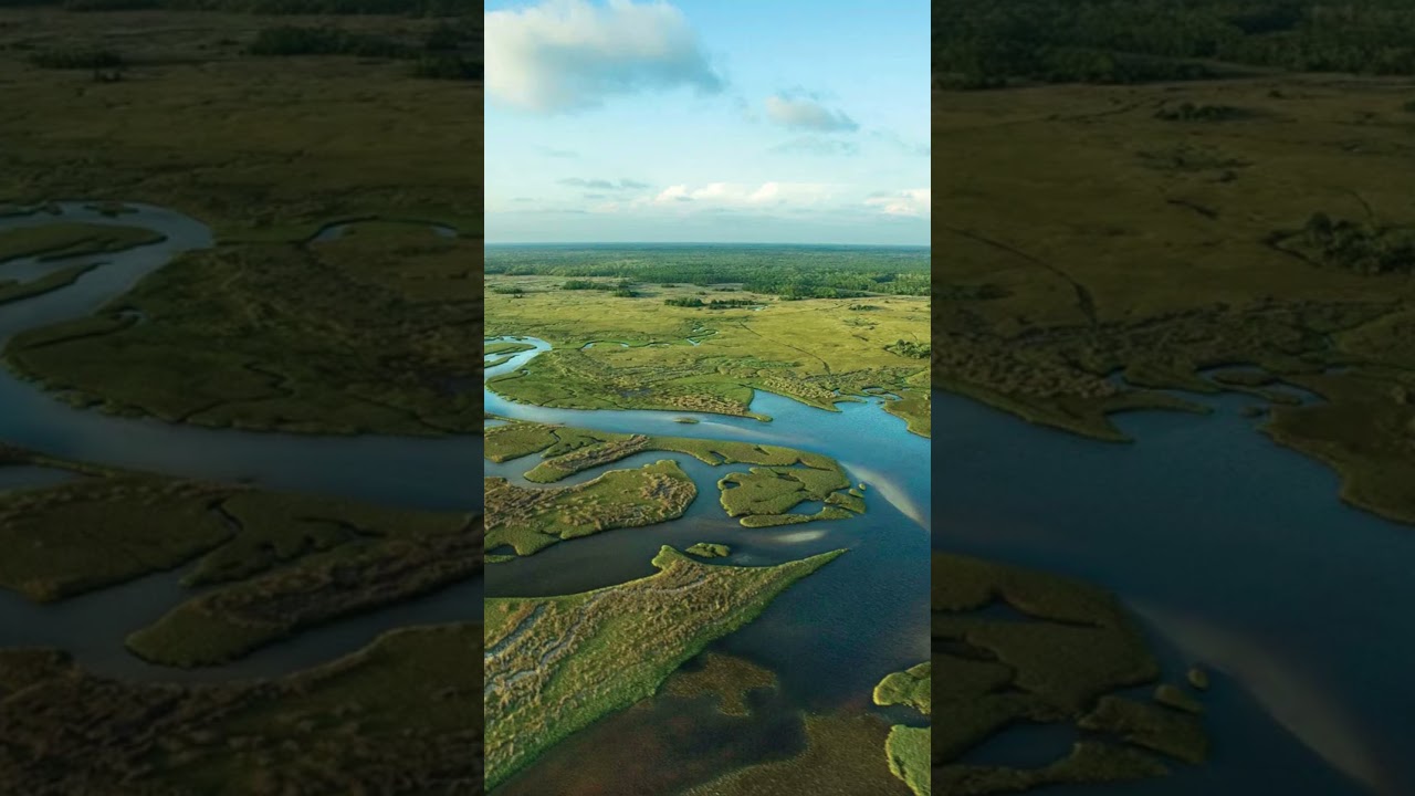 Why the Everglades Are Like a River, Not a Swamp