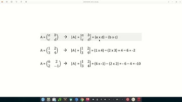 Solución de matrices por determinantes (Recursividad)