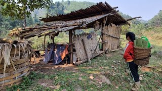 Full video about the 280-day journey of building a dream house from a dilapidated house