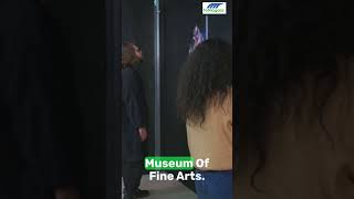 Top 5 Must-Do Montreal Adventures In November 2023 Toniagara