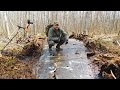 Коп немецкого самолета  Юнкерс 88 /Excavations of the German aircraft WWII #52