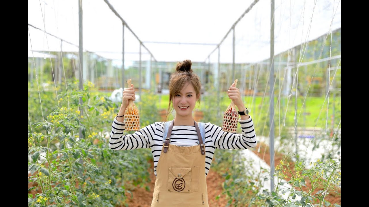 พิมฐา Coro Field : We Plant Inspiration with Pimtha