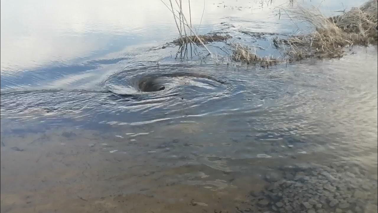 Водоворот на реке 8 букв. Водоворот на реке в Латвии. Воронки в реке. Воронки в речке. Воронка в воде.