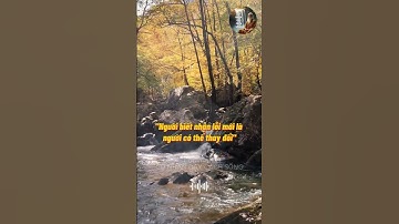 Cổ nhân dạy: 4 câu hỏi giúp bạn sàng lọc đối tác trong 10 phút.  #conhandaycachsong