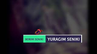 YURAGIM SENIKI