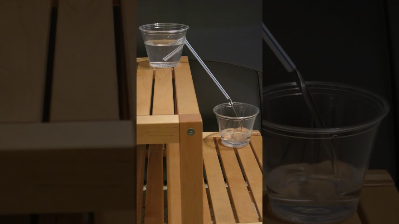 A Very SIMPLE Self-Starting Siphon (Better Than Pythagorean Cup Siphons)