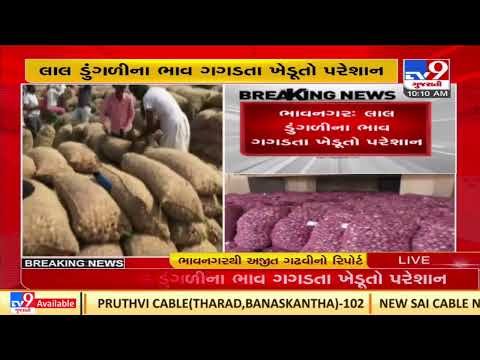 Falling onion prices bring tension for Bhavnagar farmers |Gujarat |TV9GujaratiNews