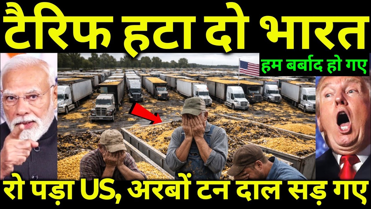 India Shocks America! 30% Tariff on US Pulses Leaves Senators Begging Trump