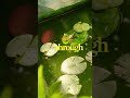 (daily facts random facts cool facts mindblowingfacts, factoftheday world facts educational content)