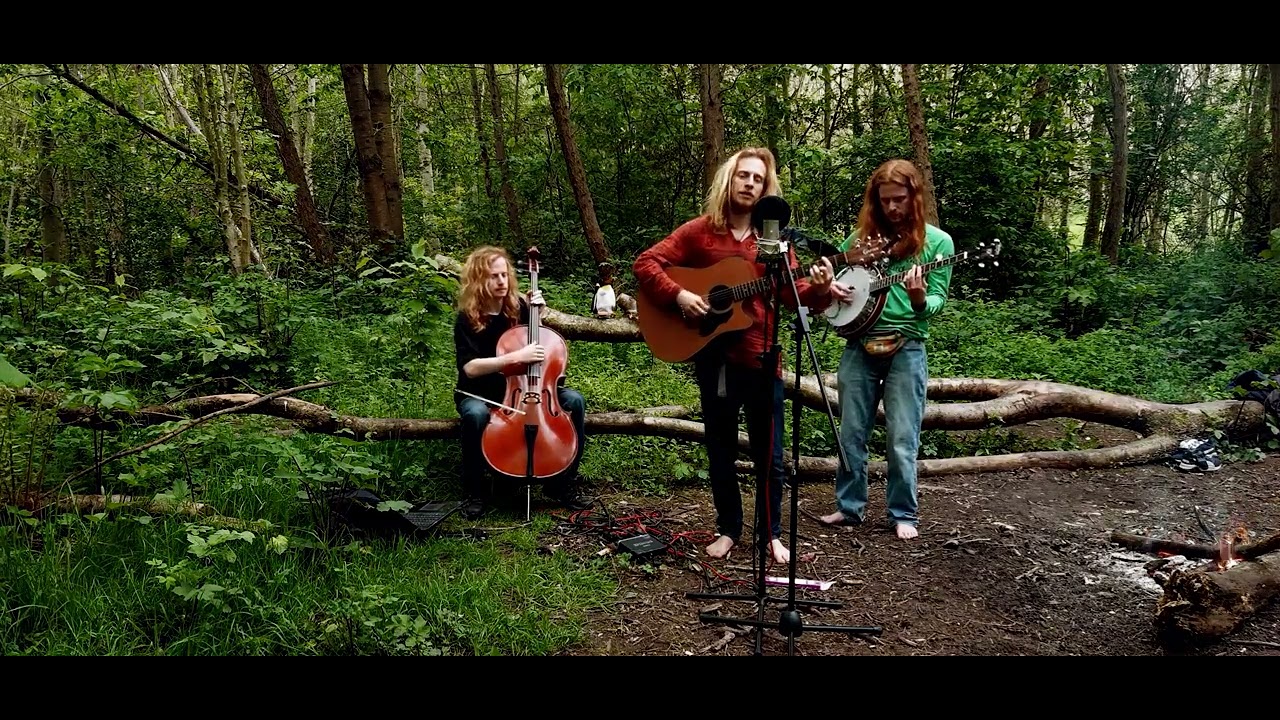 people 432Hz - Woodland Studio Original