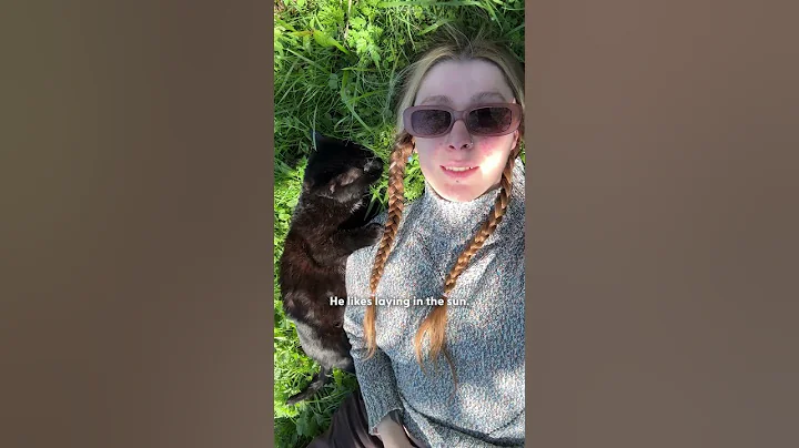 Watch the video about Cat Who Can’t Groom Himself Falls Asleep During Bath Time | The Dodo