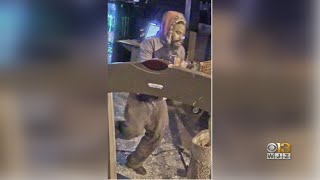Police Ask For Help Identifying Catonsville Burglary Suspects