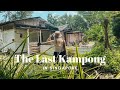 This is Singapore's last remaining village! 🌴 Life in Kampong Lorong Buangkok