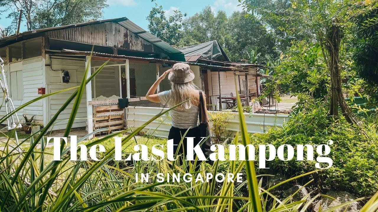 You’ve never seen this side of Singapore!🌴 Life in Kampong Lorong