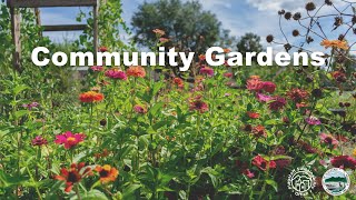 Flagstaff Community Gardens