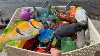 Sea Animal Toys Collection