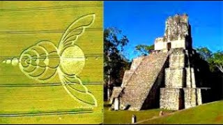 НЛО CROP CIRCLES THE MAYAN CODES REVEALED Леденящий ужас