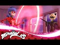 MIRACULOUS | 🐞 THE EVILLUSTRATOR - Akumatized  🐞 | Ladybug & Cat Noir - हिन्दी