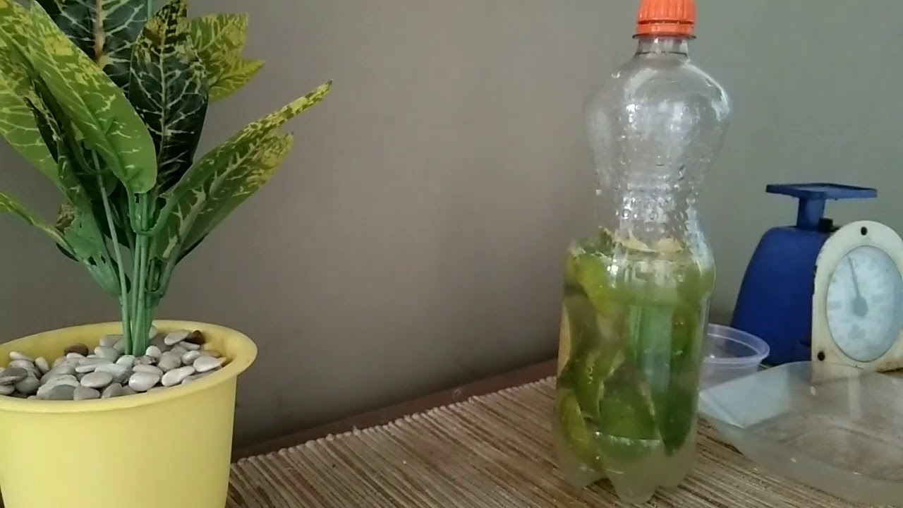 Membuat Eco Enzyme 