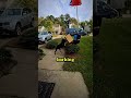 Dog ATTACKS Delivery Man… But Watch Who Saves Him! 😱🐶