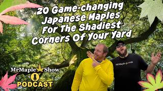 Details Top 20 Japanese Maples for the Shade Garden | MrMaple Show Podcast Update